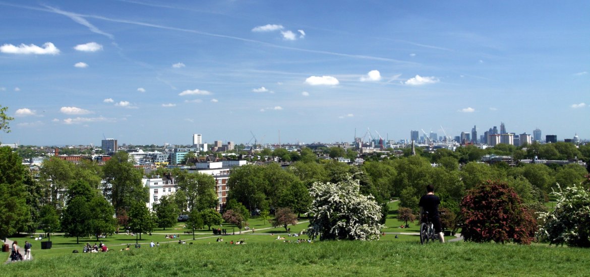 Примроуз-Хилл (Primrose Hill) - 4