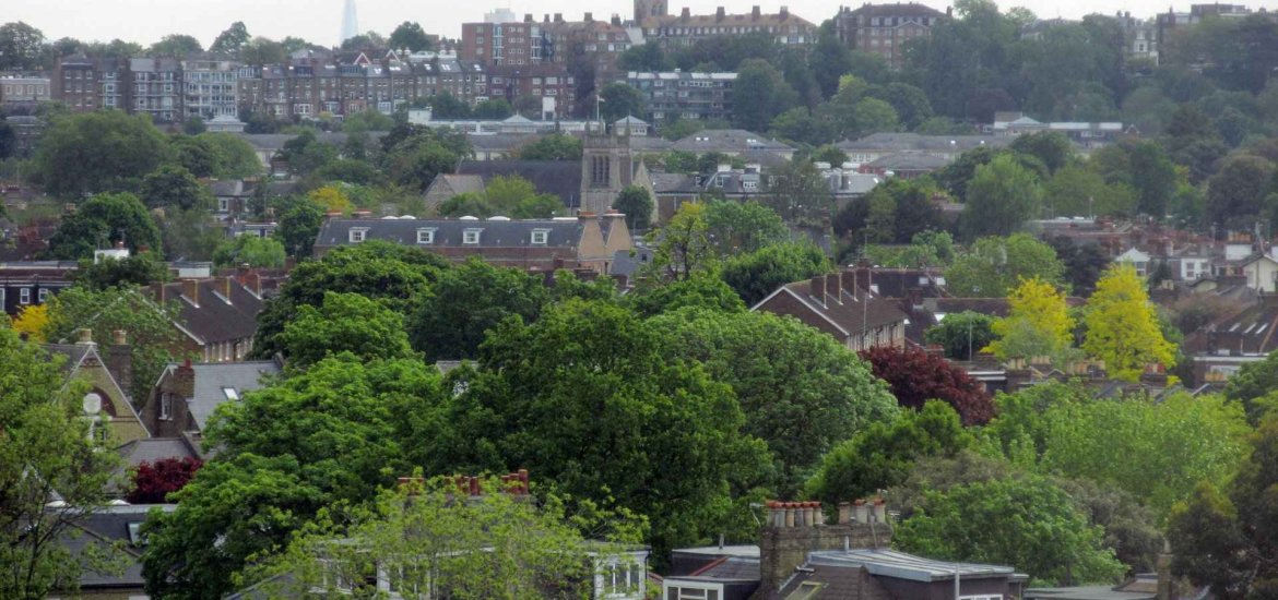 Твикенхэм (Twickenham) - 3