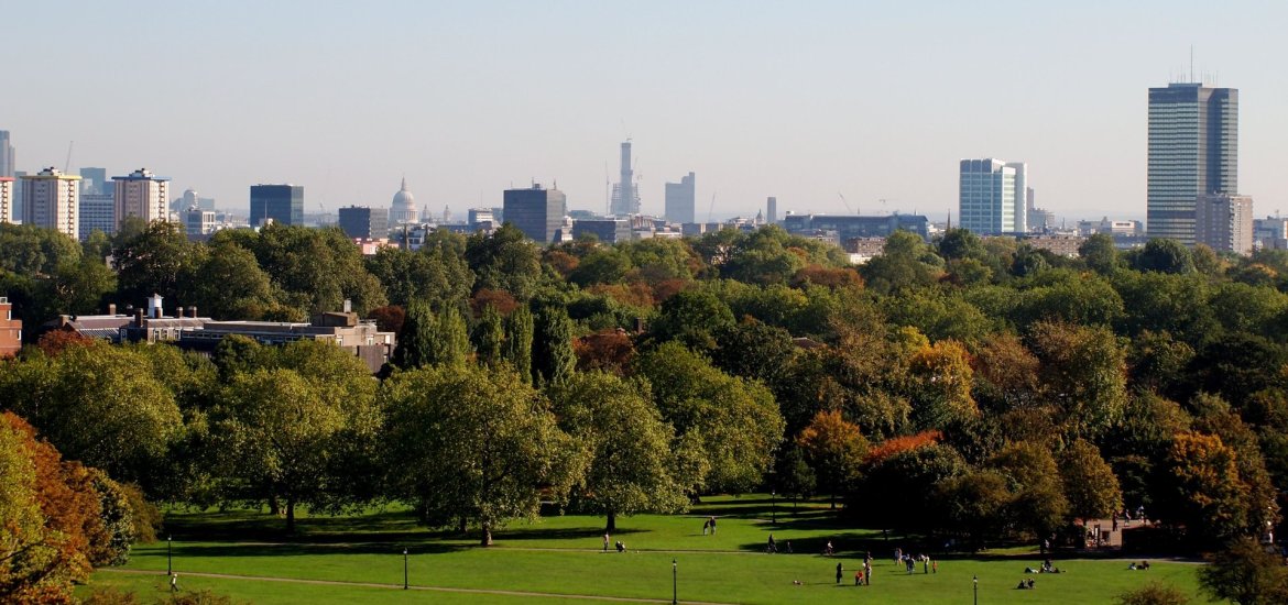 Primrose Hill - 6